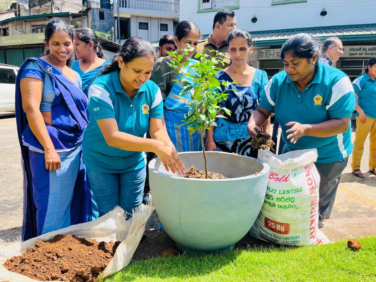 Tree Plantation program