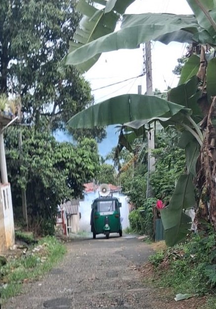ඩෙංගු මර්ධන වැඩසටහන 2026