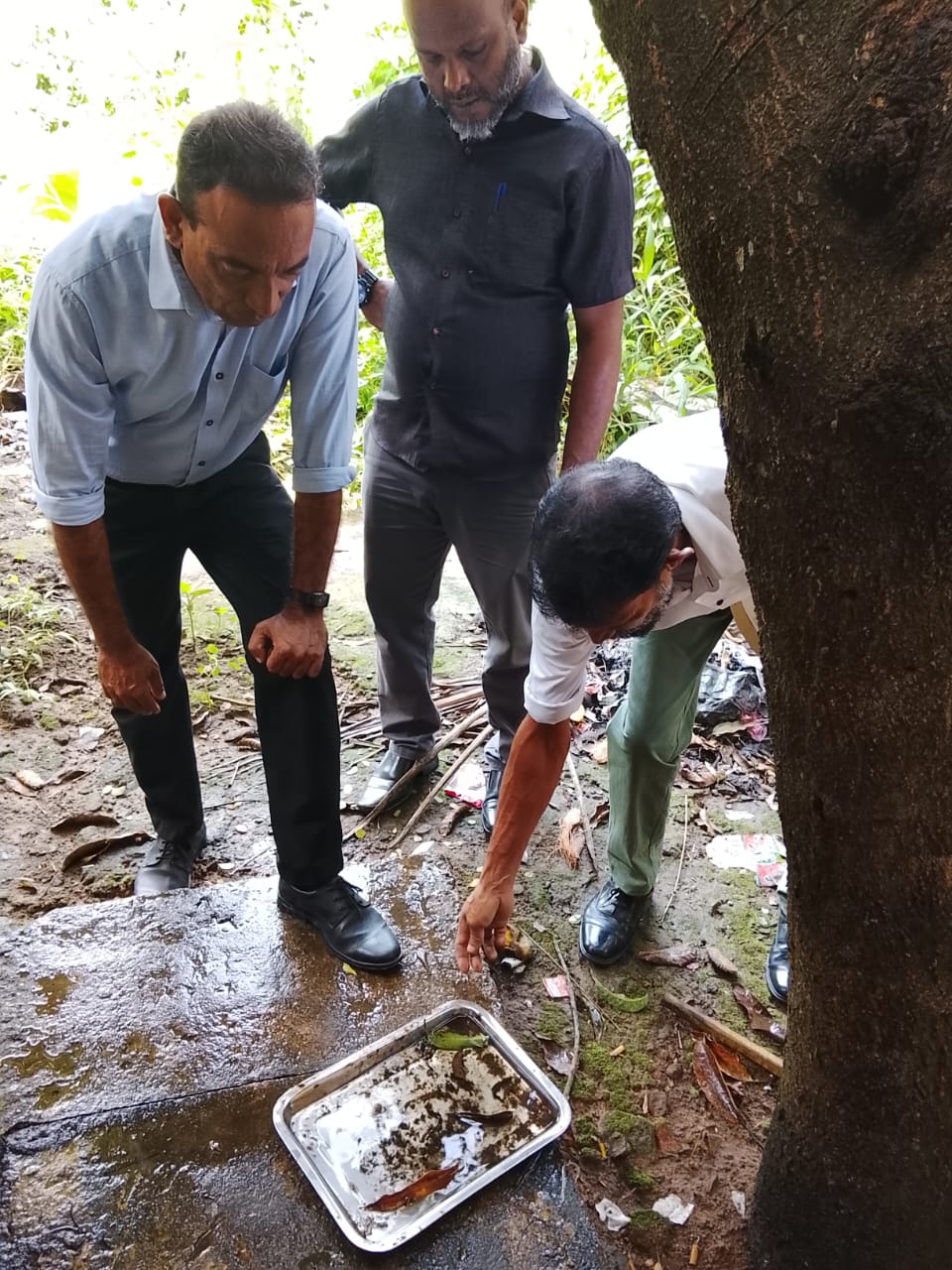 ඩෙංගු මර්ධන වැඩසටහන 2026