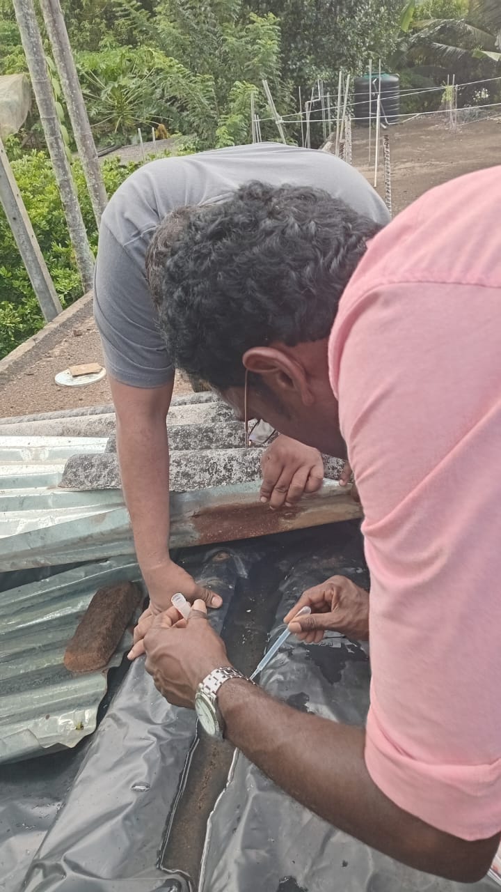 ඩෙංගු මර්ධන වැඩසටහන 2026